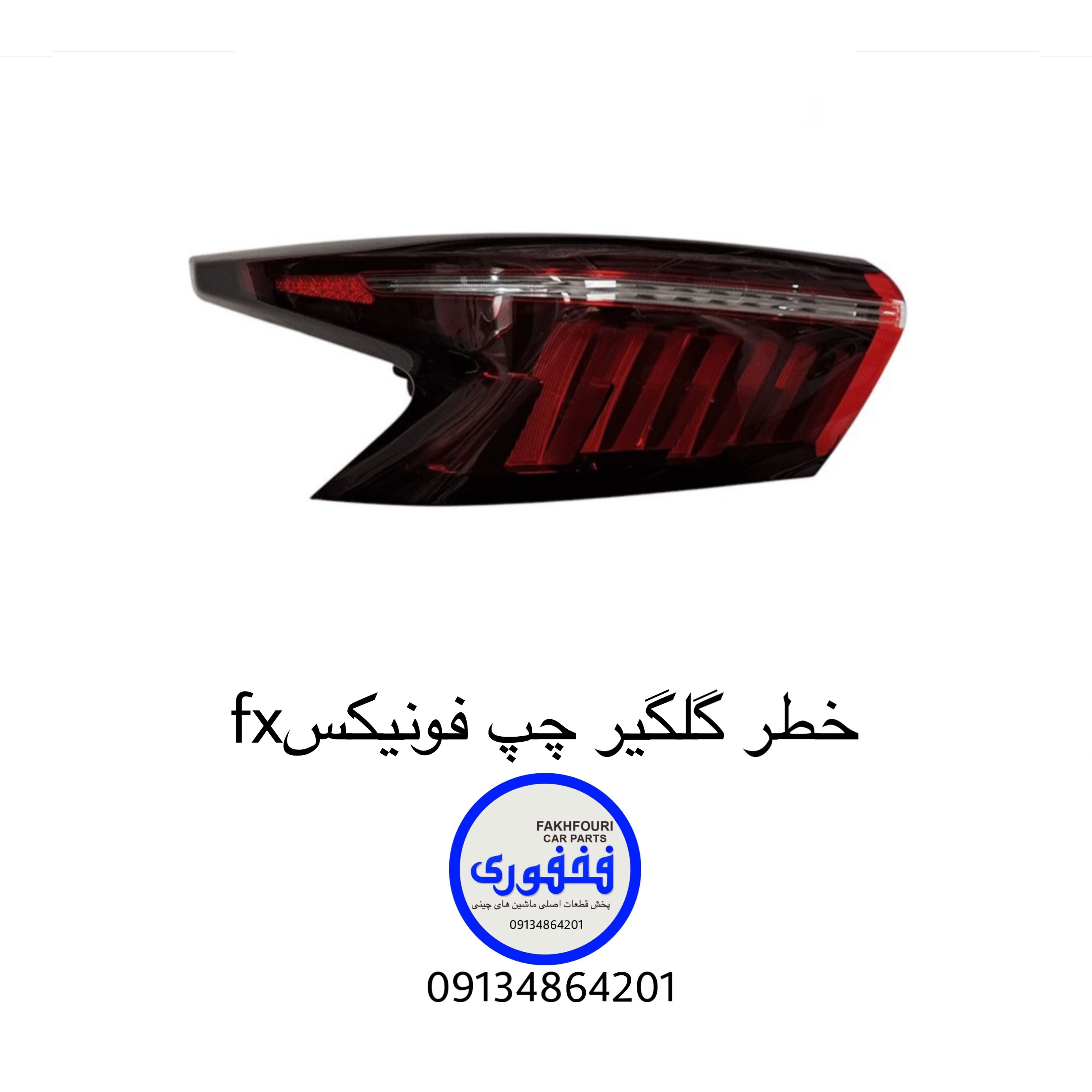 خطر گلگیر چپ فونیکس fx
