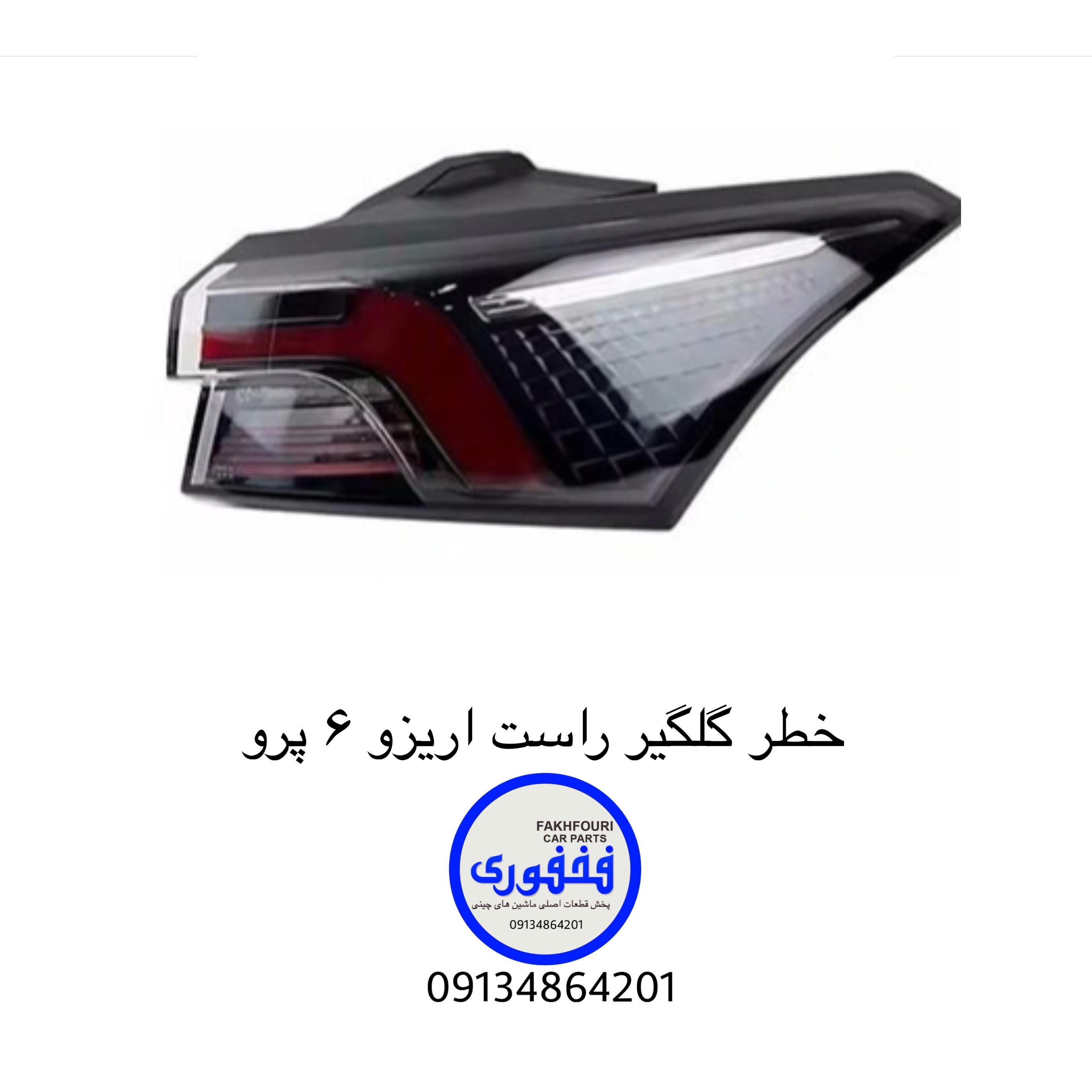 خطر گلگیر راست اریزو ۶ پرو